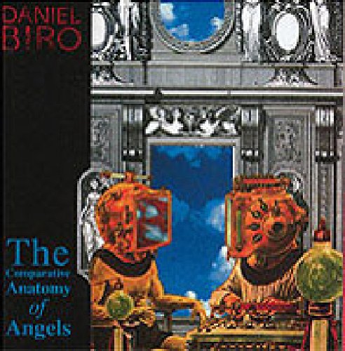 Comparative Anatomy of Angels