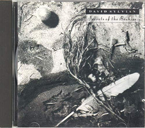 Secrets of the Beehive (1987) 