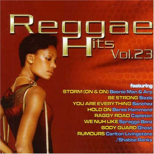 Reggae Hits Volume 23