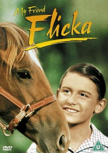 My Friend Flicka [DVD] [1943]