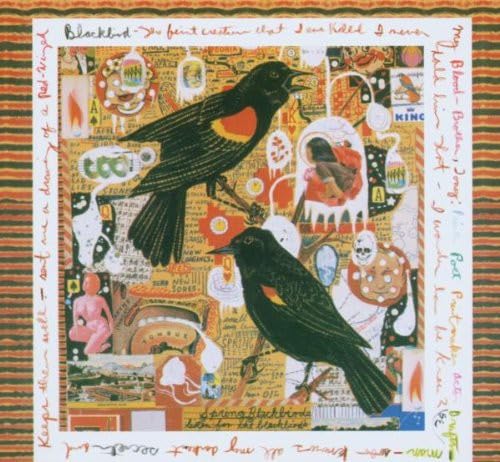 Just An American Boy