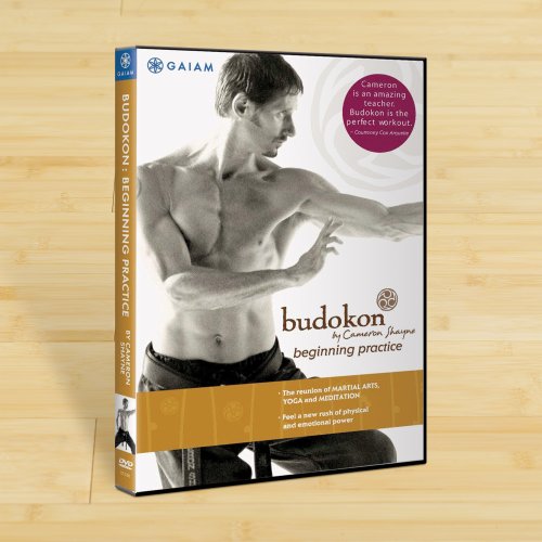 Budokon for Beginners
