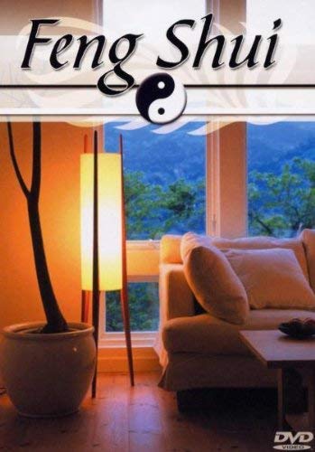 Feng Shui [DVD] [2005]