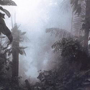 Living In The Gleam Of An Unsheathed Sword 