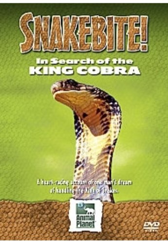 Snake Bite: In Search Of The King Cobra [DVD]