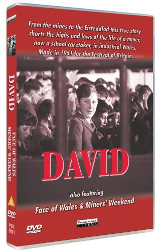 David / Cardiff / Miners' Weekend [DVD]