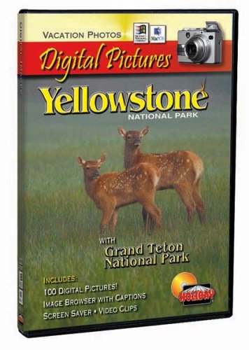 Yellowstone National Park Digital Pictures