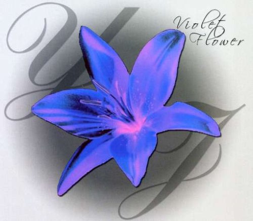 Violet Flower
