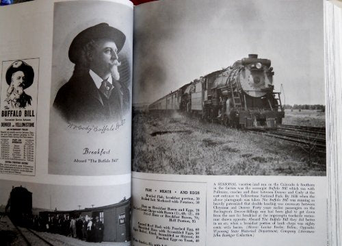 The Trains We Rode