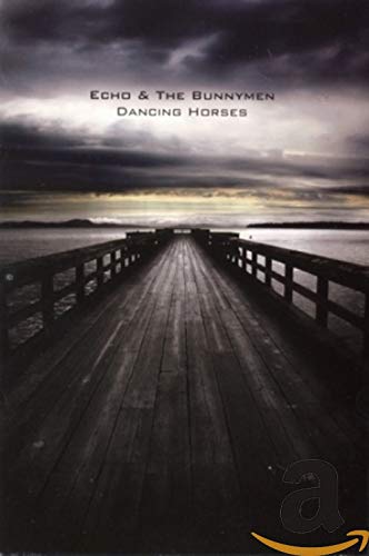 Echo and the Bunnymen: Dancing Horses [DVD]