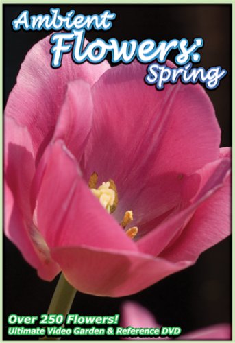Ambient Flowers-Spring [DVD]