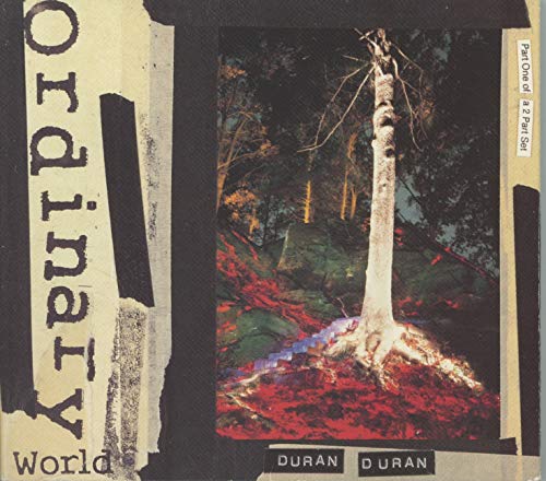 Ordinary World [CD 1]