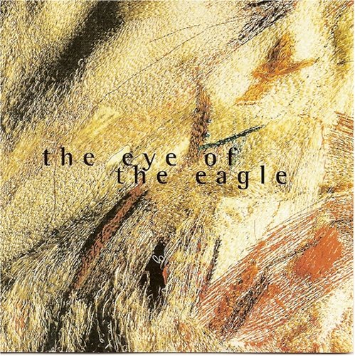 The Eye of the Eagle