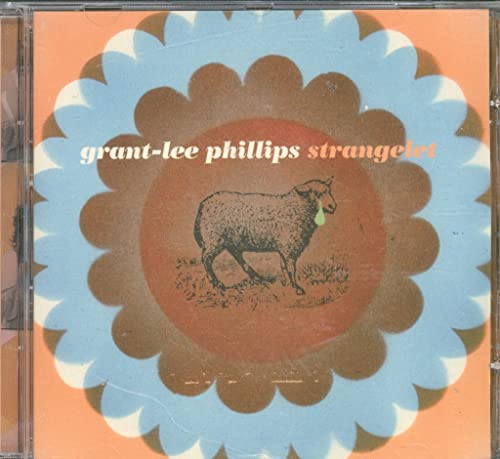 Strangelet