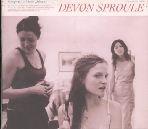 Keep Your Silver Shined