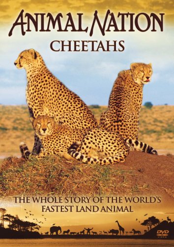 Animal Nation - Cheetahs [DVD]