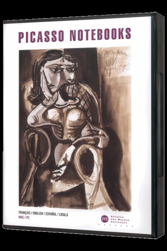The Picasso Notebooks