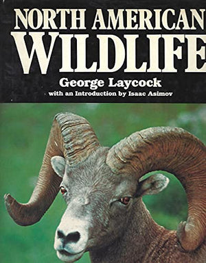 North American Wildlife