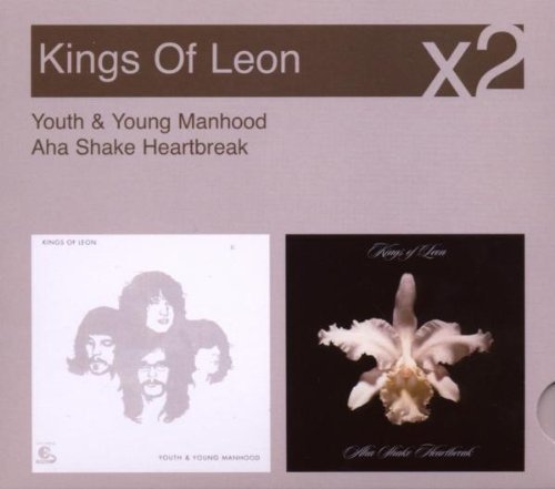Youth And Young Manhood/Aha Shake Heartbreak