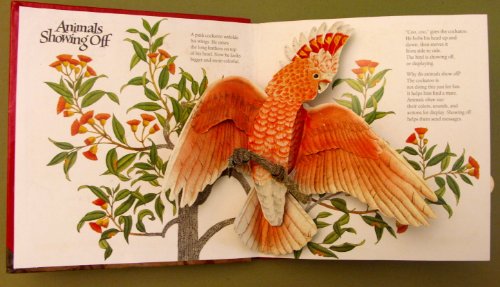 Animals Showing Off