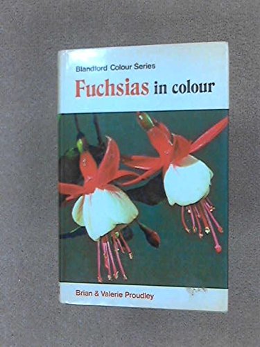FUCHSIAS IN COLOUR