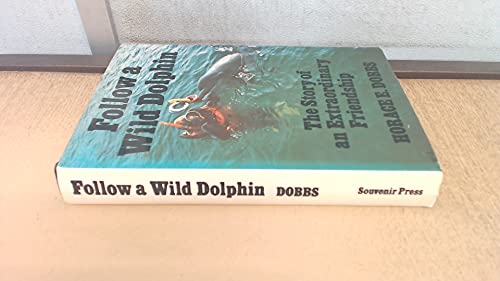 Follow a Wild Dolphin