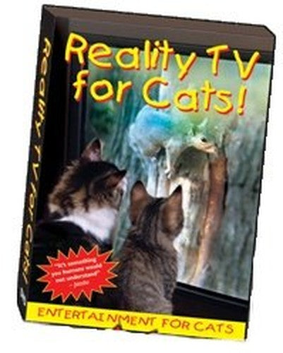 Reality TV for Cats!