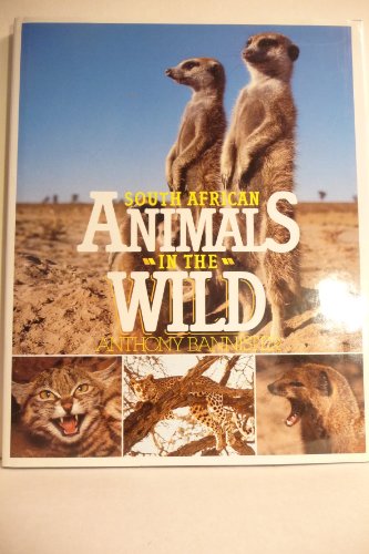 SOUTH AFRICAN ANIMALS IN THE WILD