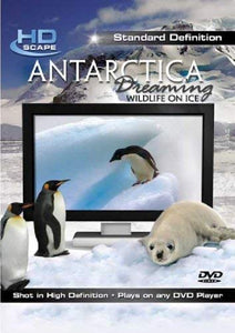 Antarctica Dreaming - Wildlife On Ice [DVD] [2008] [NTSC] 