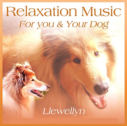 Relaxation For You and Your Dog