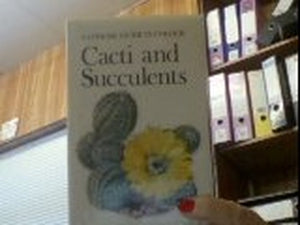 Cacti and Succulents