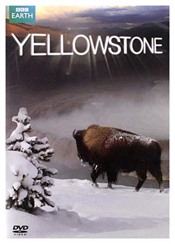 Yellowstone [DVD] [2009]
