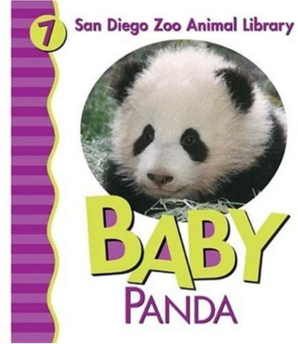 Baby Panda