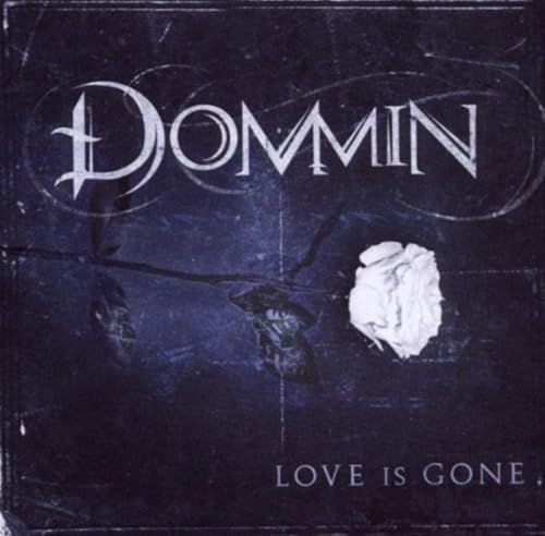 Love Is Gone