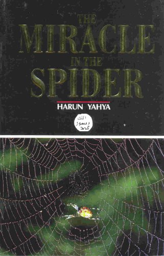 The Miracle In The Spider