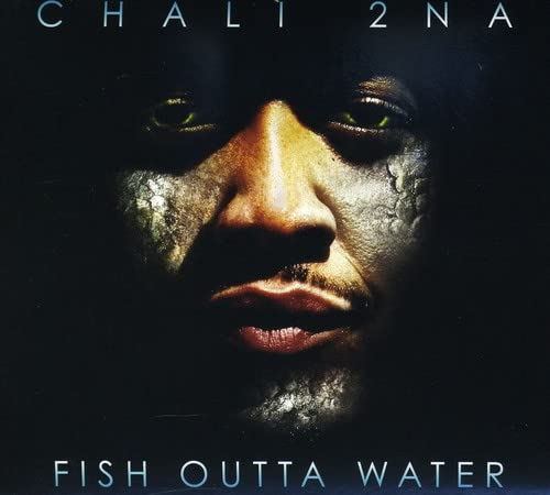 Fish Outta Water
