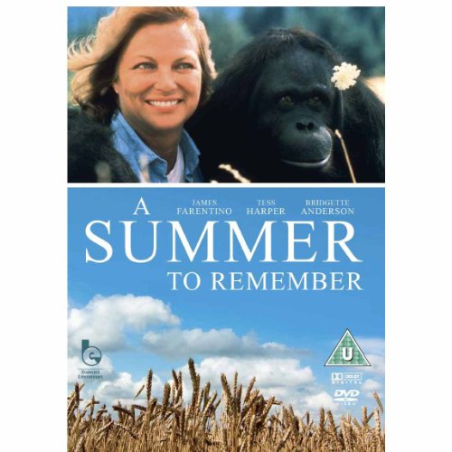 A Summer to Remember [DVD] [1985]