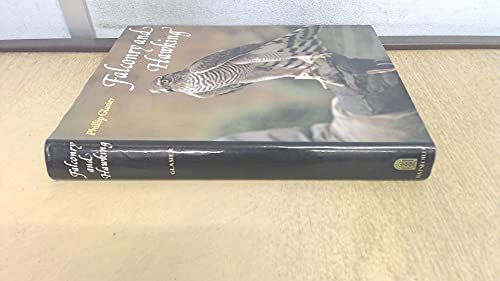 Falconry and Hawking