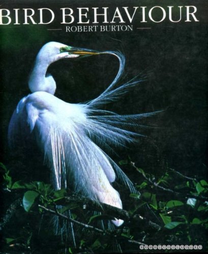 Bird Behaviour