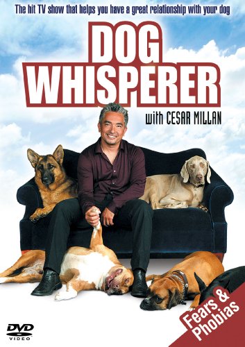 Dog Whisperer: Fears And Phobias [DVD]