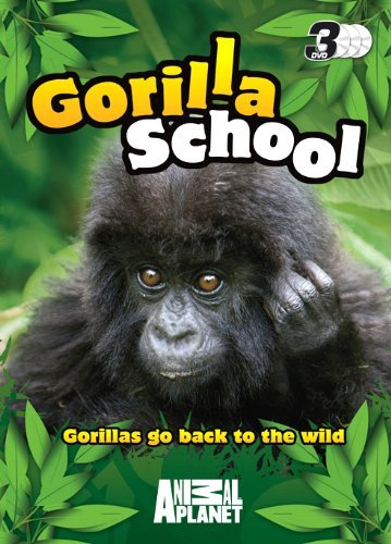 Gorilla School [DVD]