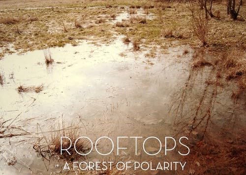 Rooftops - A Forest Of Polarity