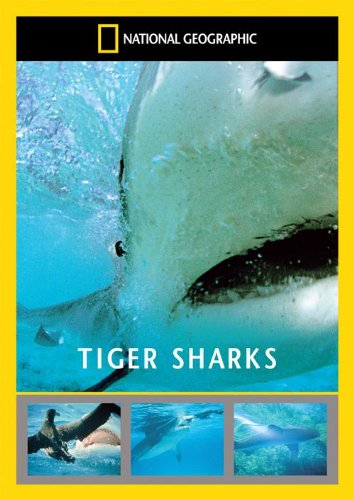 National Geographic: Tiger Sharks [DVD]