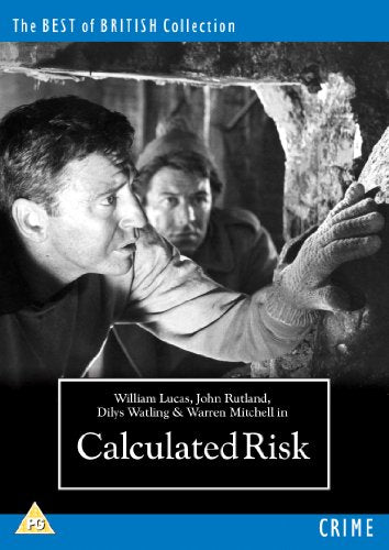 Calculated Risk [DVD]
