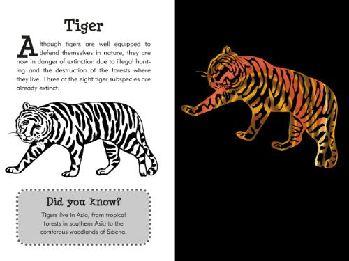 Scratch & Sketch Wild Safari
