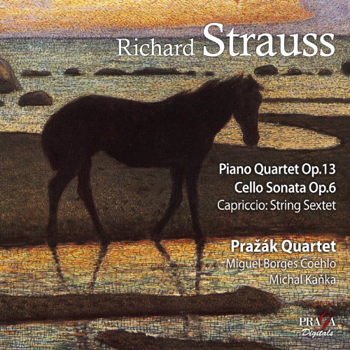 Richard Strauss: Piano Quartet, Op. 13/Cello Sonata, Op. 6/...