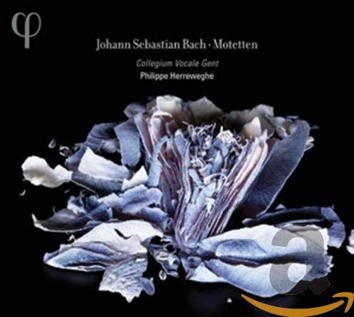 Js Bach: Motets Bwv 225-230