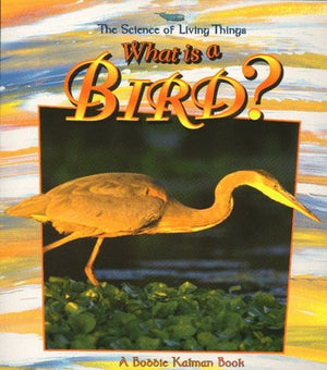 What Is A Bird