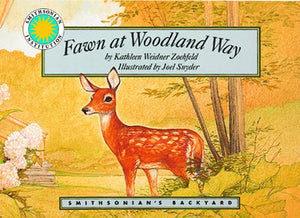 Fawn at Woodland Way