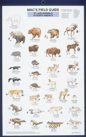 Mac's Field Guides: North American Land Mammals
